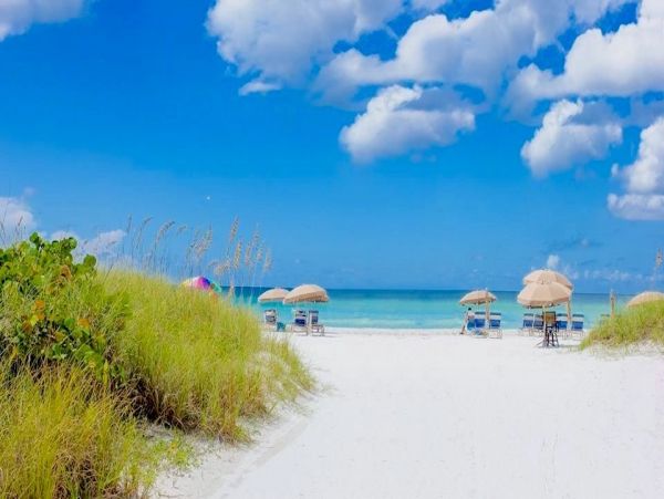 Siesta Key Condo 1024480