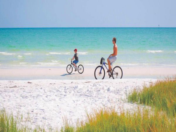 Siesta Key Condo 1024482