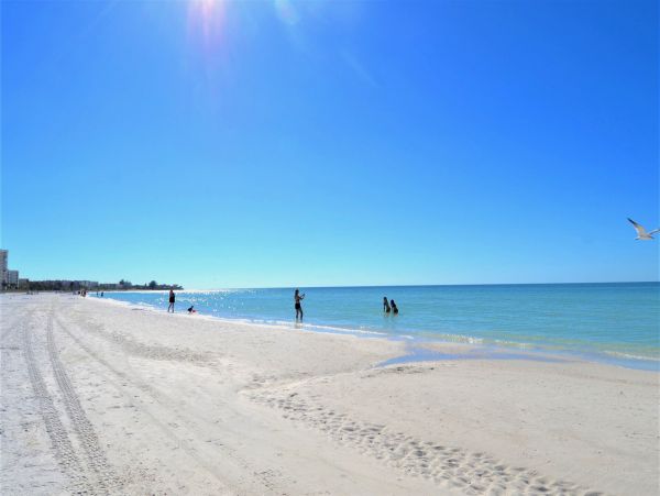 Siesta Key Condo 1024483