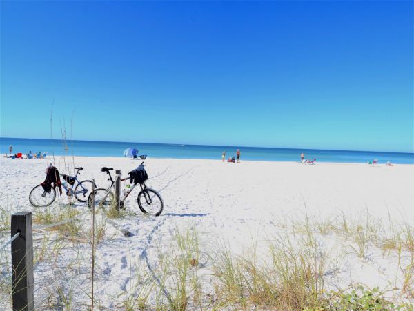 Siesta Key Condo 1024485