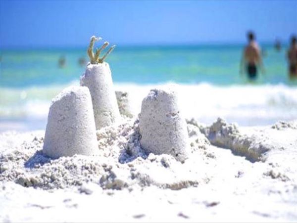 Siesta Key Condo 1024487