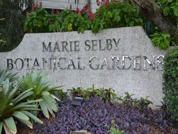 Siesta Key Condo 1024498