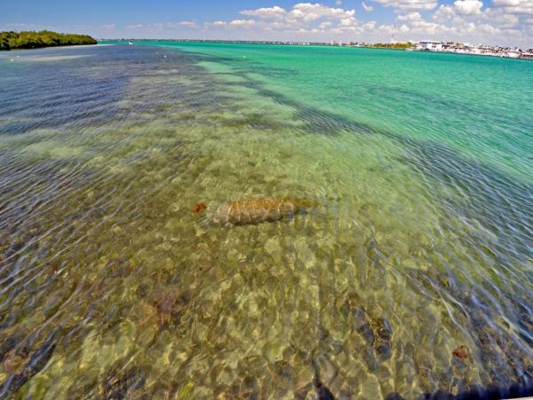 Siesta Key Beachfront Condo - 2-Bedroom Vacation Rental near Siesta Village