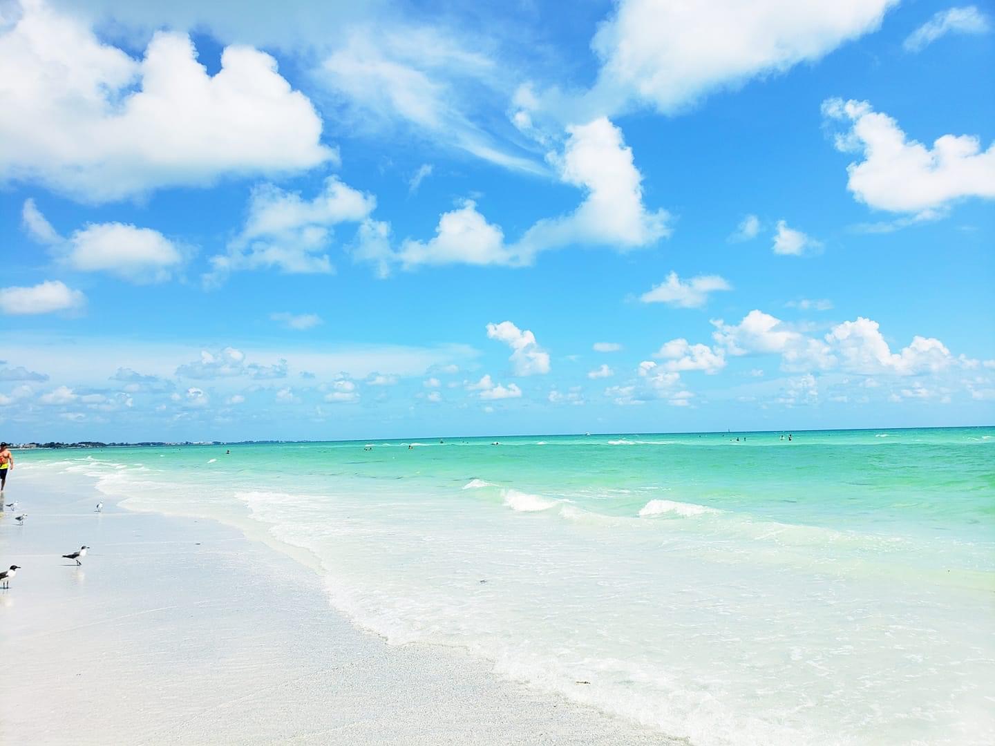 Siesta Key Condo 1024512