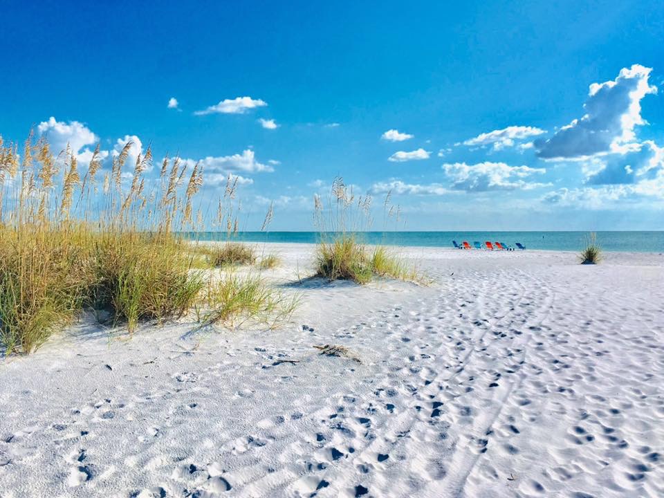 Siesta Key Condo 1024513