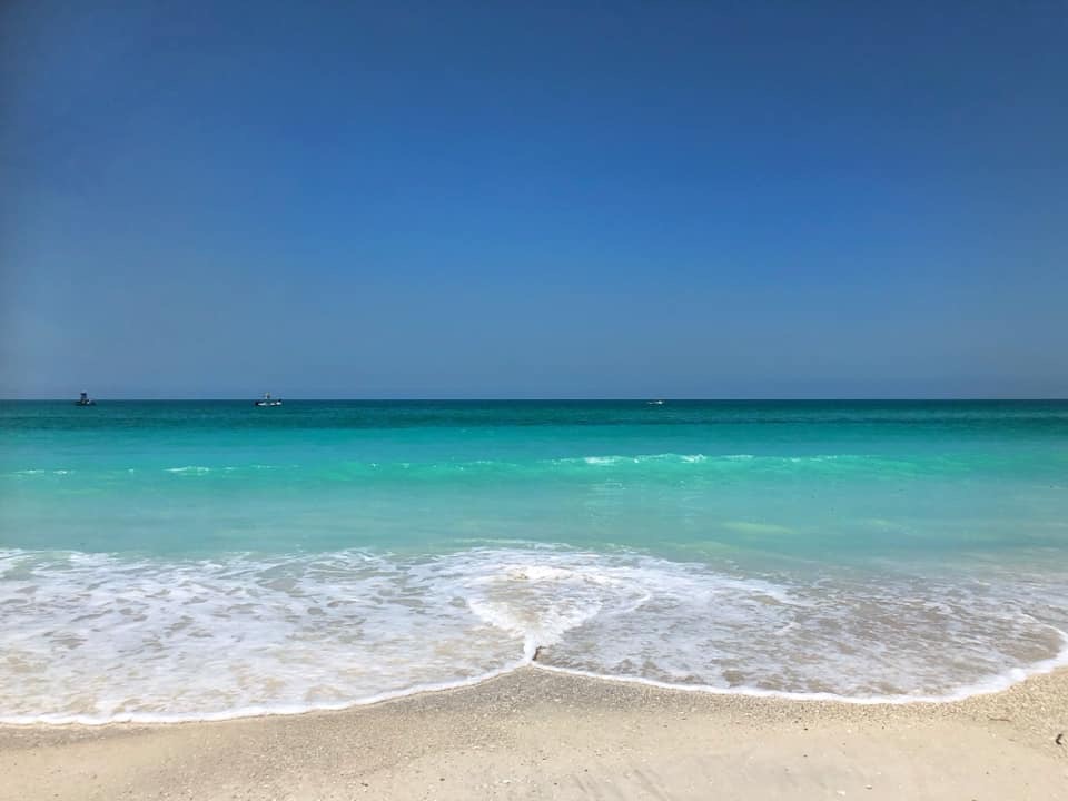 Siesta Key Condo 1024513