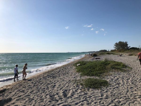 Siesta Key Condo 1024514
