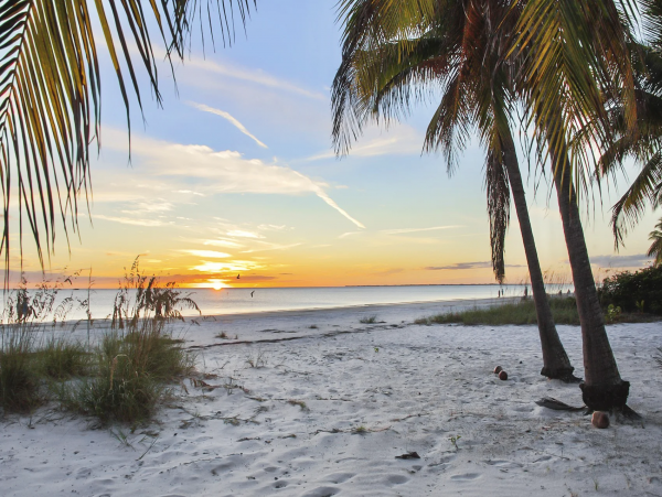 Fort Myers Condo 1024522