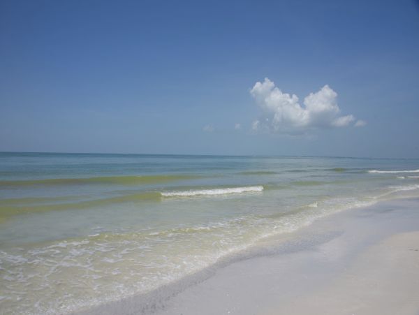 Fort Myers Home 1024528