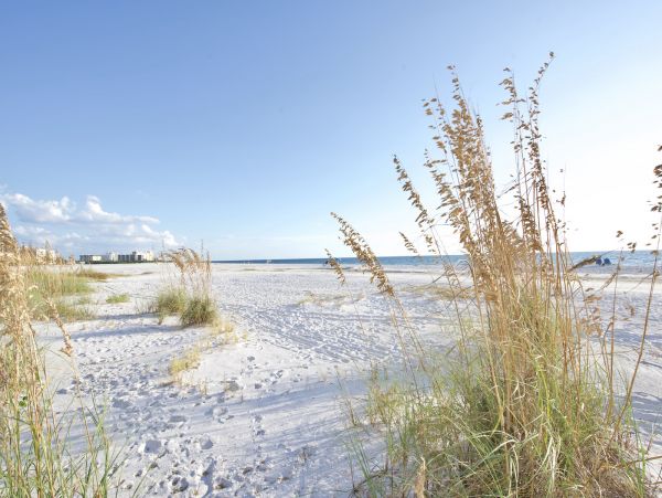 Fort Myers Condo 1024533