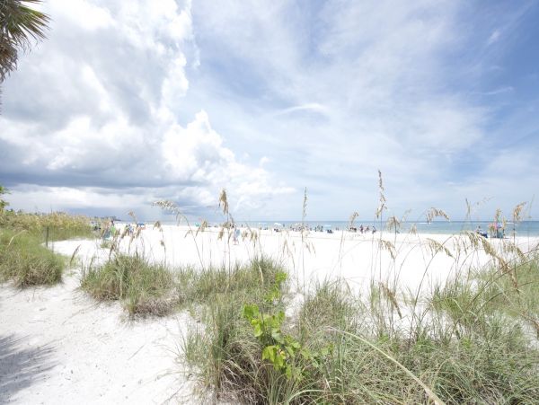 Fort Myers Condo 1024560