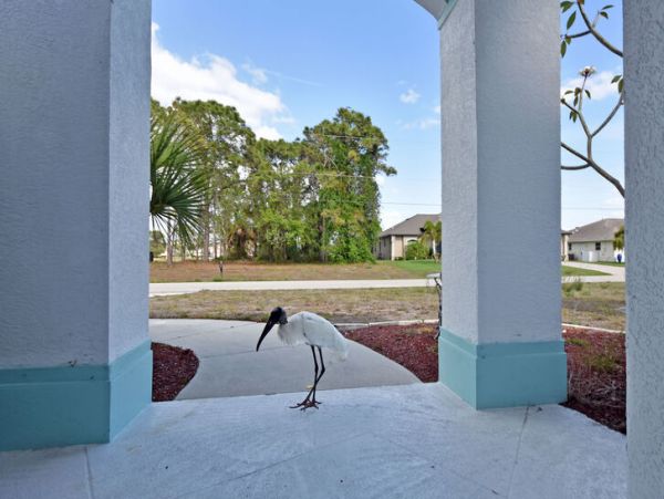 Manasota Key Home 1024565