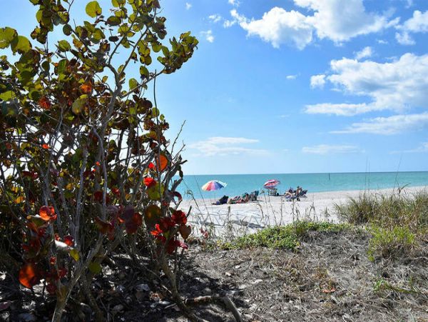 Manasota Key Condo 1024582