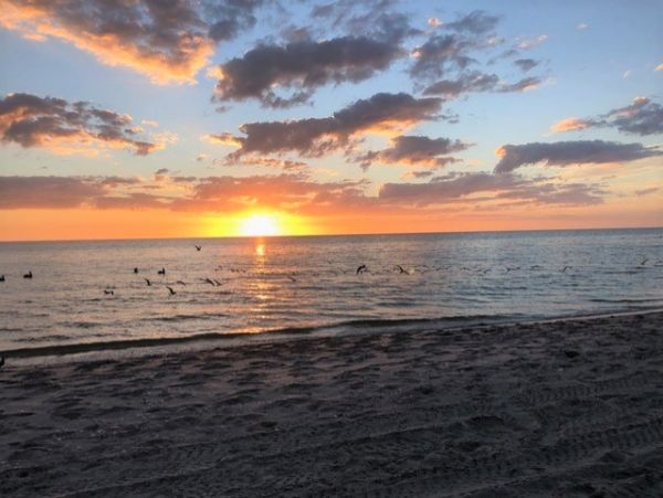 Manasota Key Condo 1024584