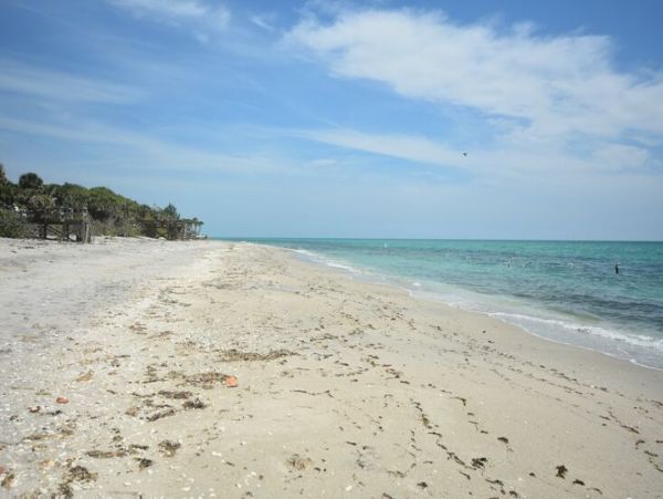 Manasota Key Home 1024596