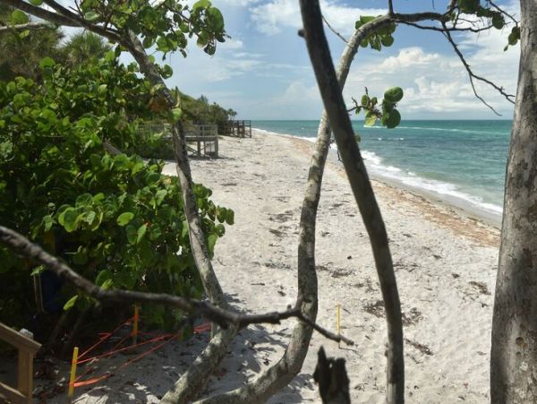 Manasota Key Home 1024596