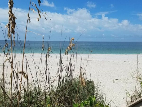 Manasota Key Condo 1024602