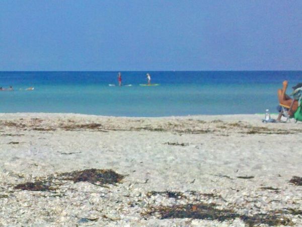 Manasota Key Home 1024607