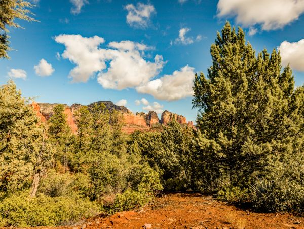 Sedona Home 1024710