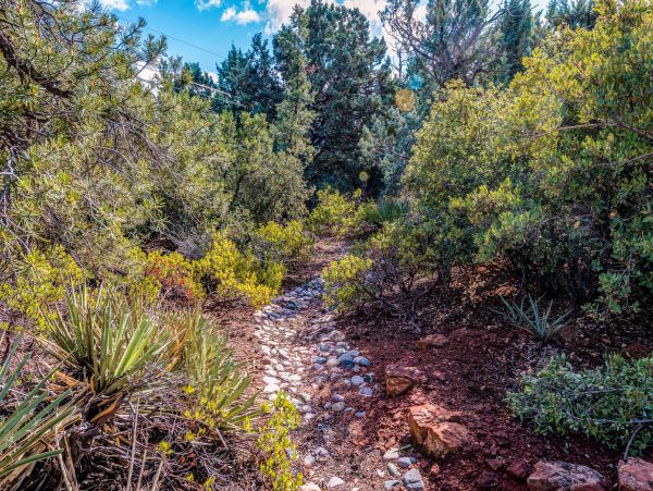 Sedona Home 1024710