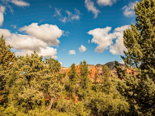 Sedona Home 1024710