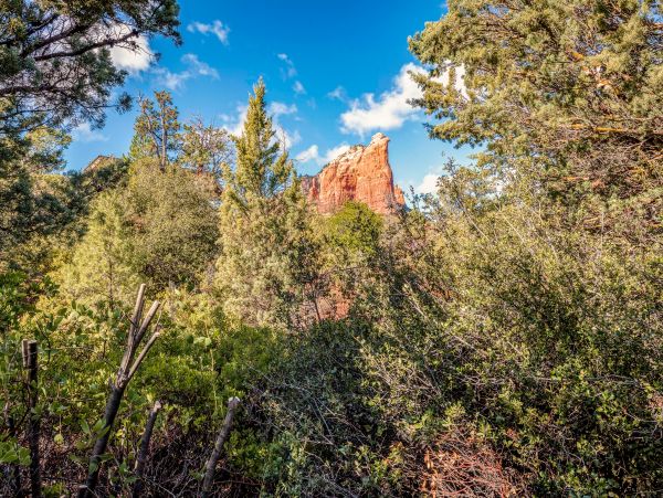 Sedona Home 1024722