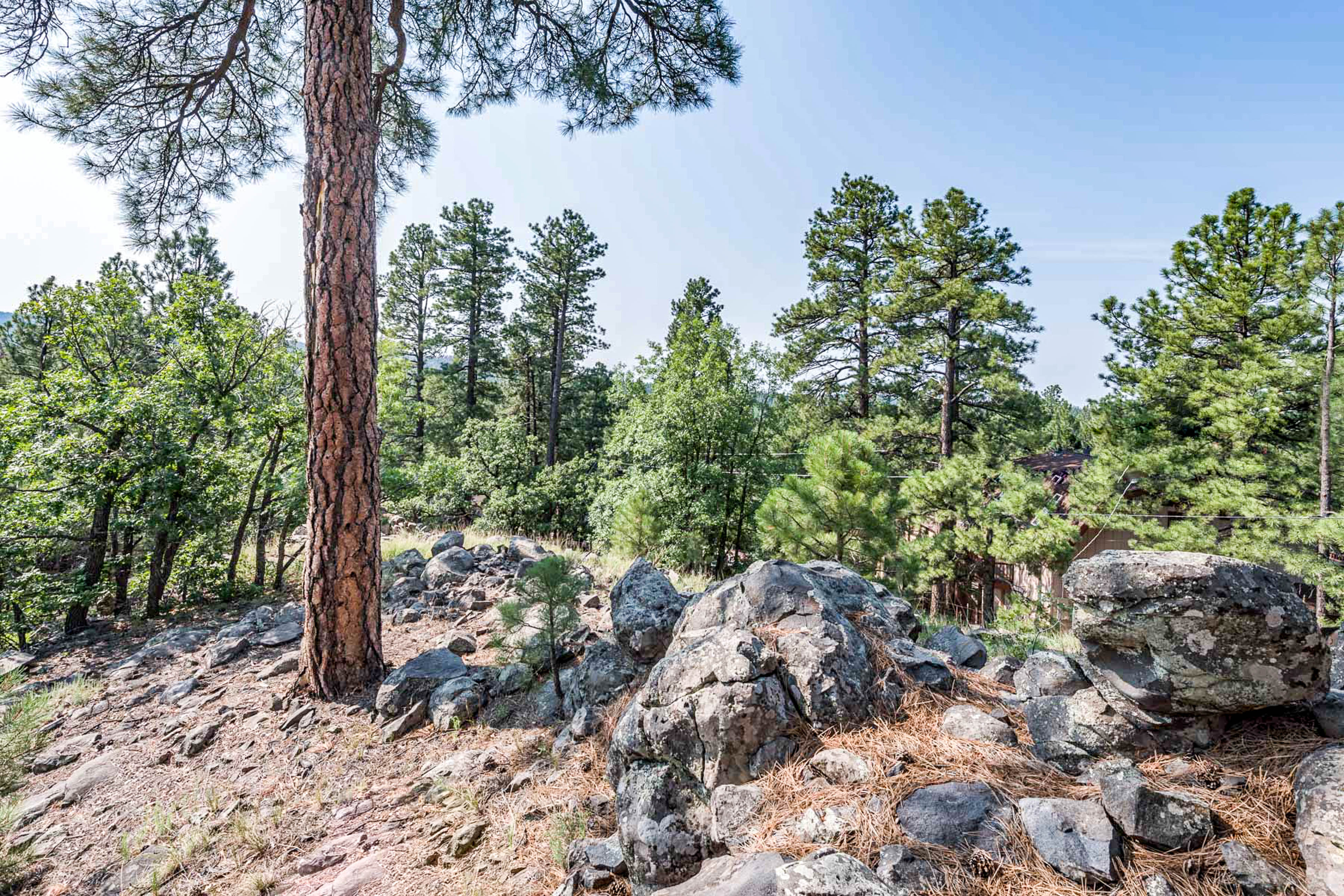 Sedona Home 1024739