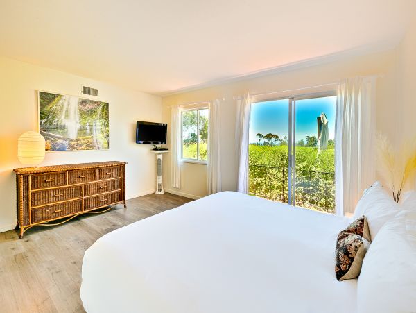 La Jolla Home 1024745