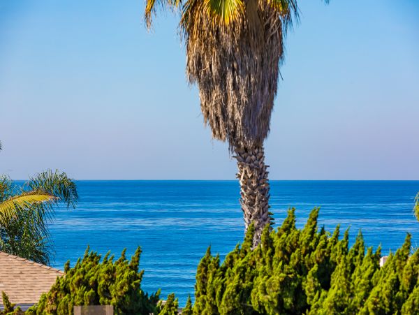 La Jolla Gem Two Min Walk to Beach Vacation Condo