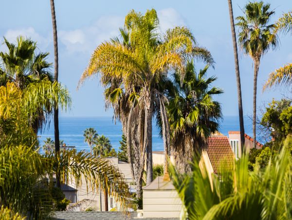 La Jolla Home 1024794