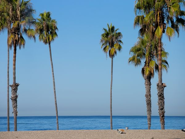 La Jolla Home 1024801