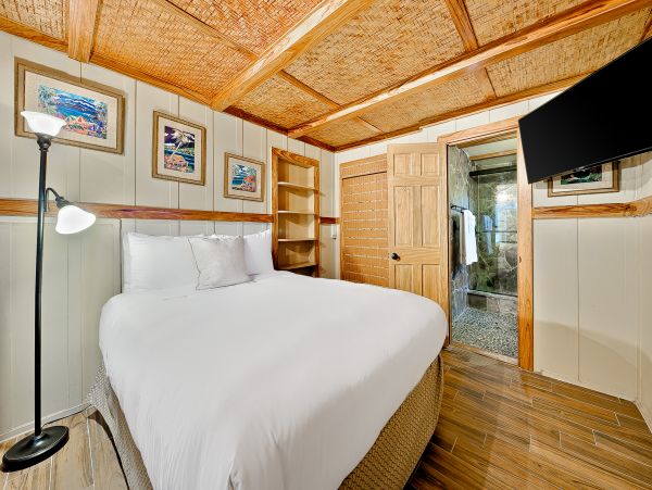 Three Bedroom Paradise With Pool, Rooftop Deck and Two Spas