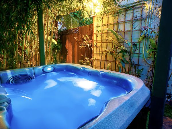 Three Bedroom Paradise With Pool, Rooftop Deck and Two Spas
