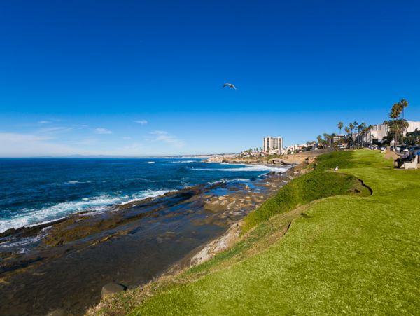 La Jolla Condo 1024807