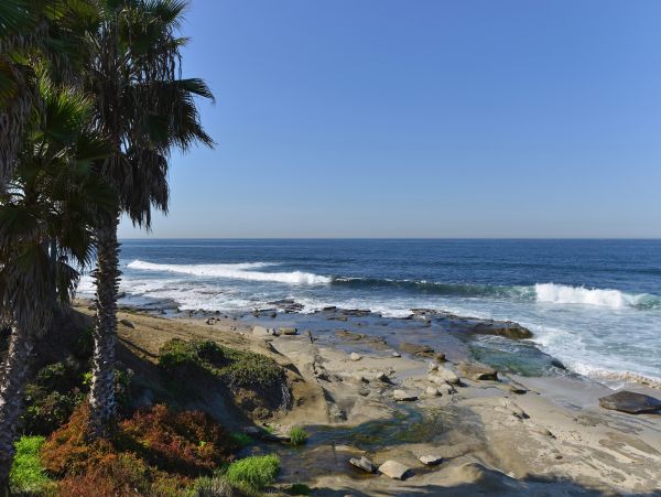 La Jolla Home 1024809