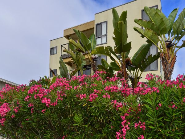 La Jolla Home 1024809