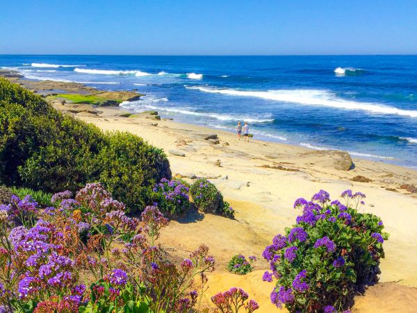 La Jolla Cove Luxury Vacation Home Simply The Best