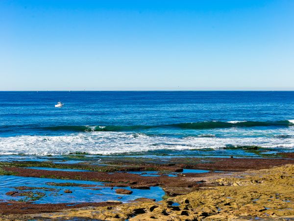 La Jolla 2 Bedroom Vacation Condo with Ocean Views Sleeps 4