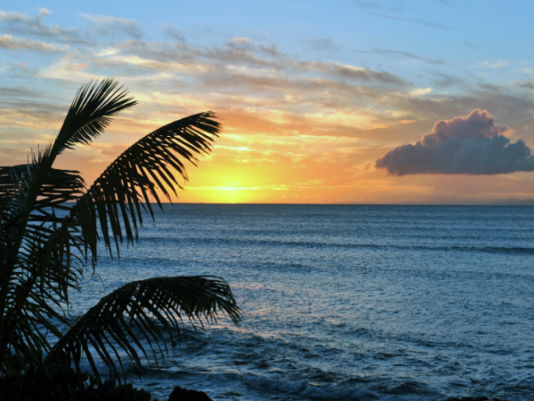 Ocean Front Three Bedroom Vacation Home with Pool & Spa