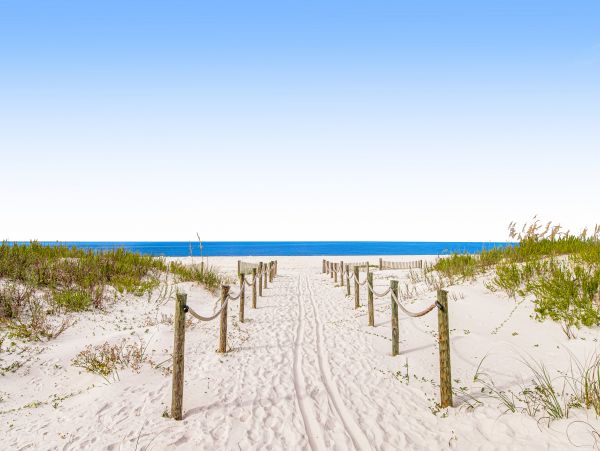 Mexico Beach Condo 1024854