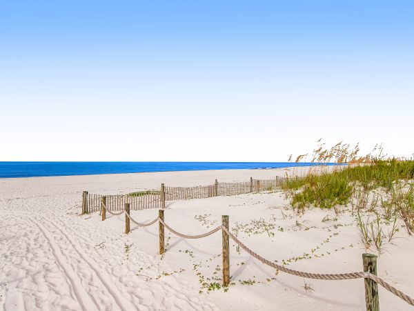 Mexico Beach Condo 1024854