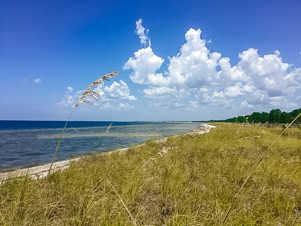 Mexico Beach Home 1024861