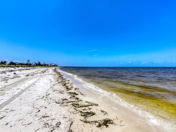 Mexico Beach Home 1024882