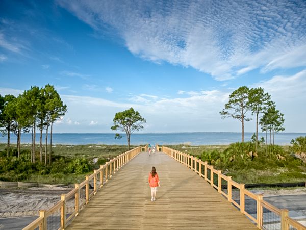 Mexico Beach Home 1024883