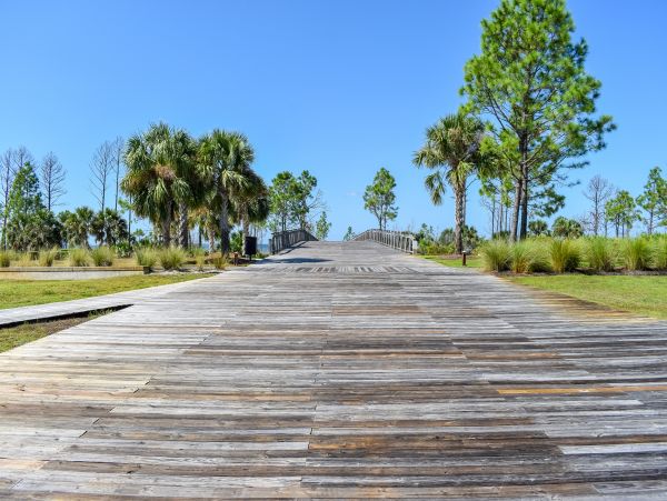 Mexico Beach Home 1024883