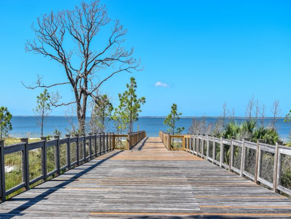 Mexico Beach Home 1024883