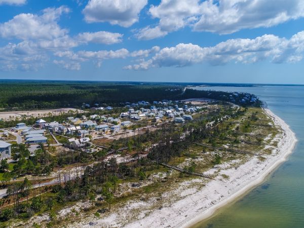 Mexico Beach Home 1024883