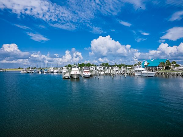 Mexico Beach Home 1024884