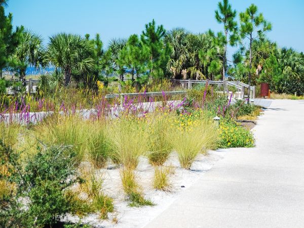 Mexico Beach Home 1024889