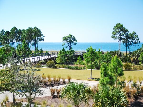 Mexico Beach Home 1024889